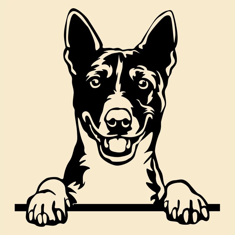 Basenji Head