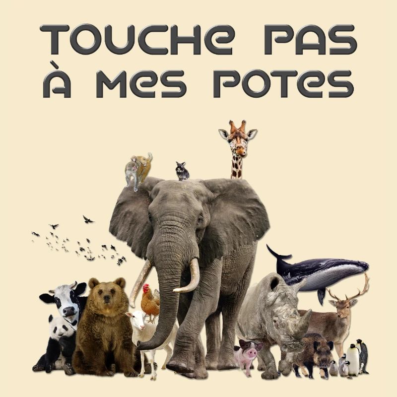Touche pas à mes potes