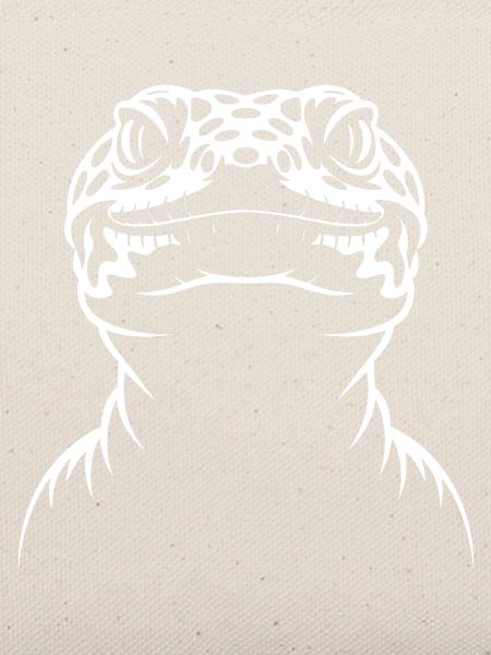 Gecko-Silhouette Kontrast