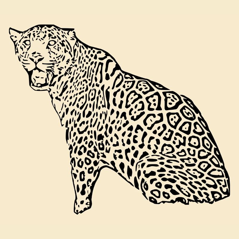 Noir léopard
