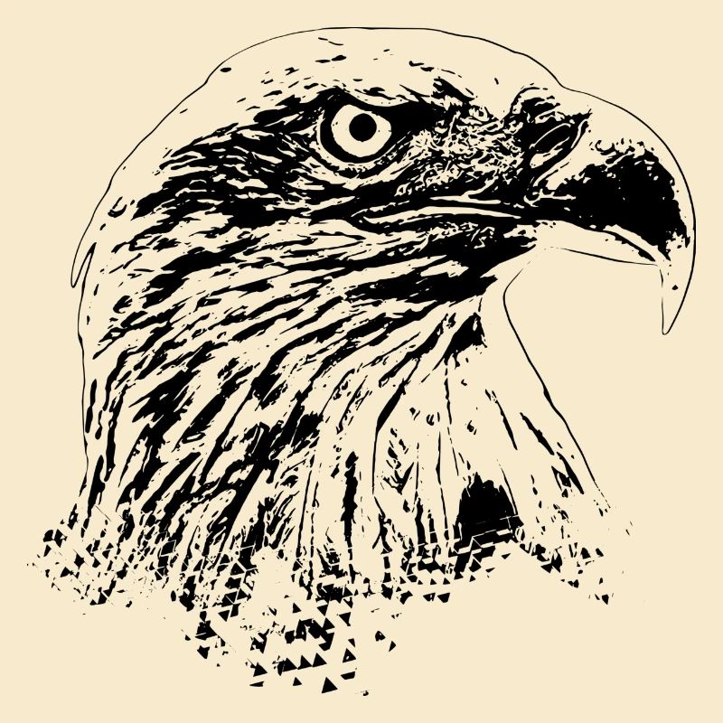 Adler