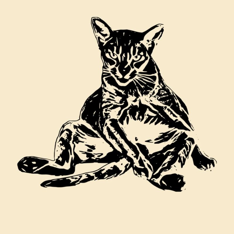 Katze