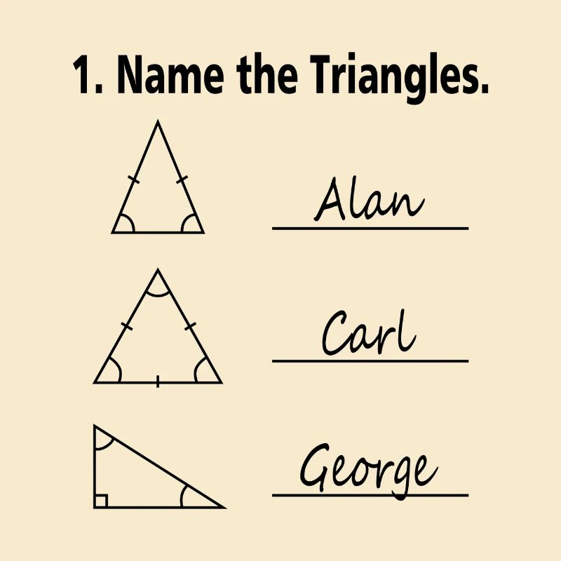Nom des Triangles Mathe Nerd École cadeau