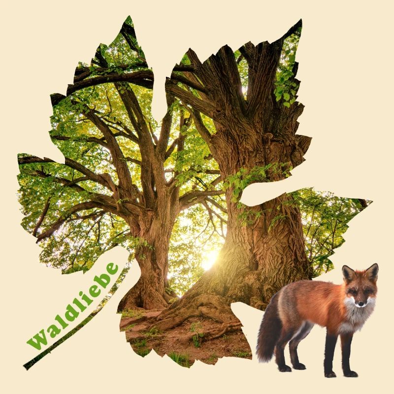 wald 48 mit fuchs