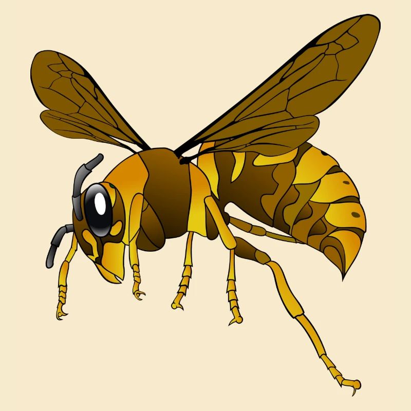 Hornet