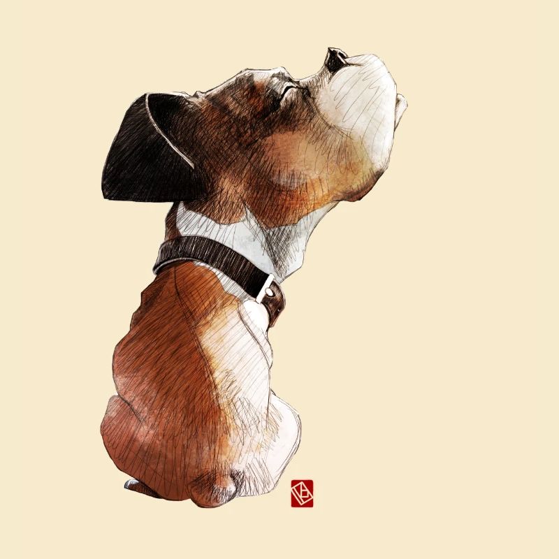 Sketchy Boxer
