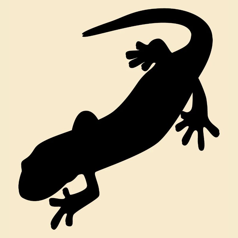 Salamander