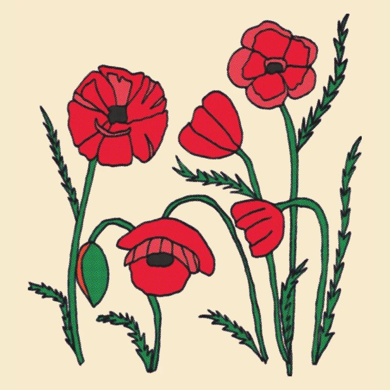 Mohn