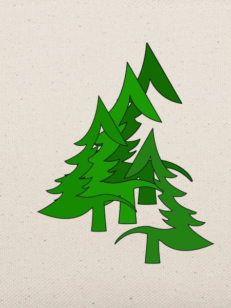 Tannenwald, Wald, Tannen