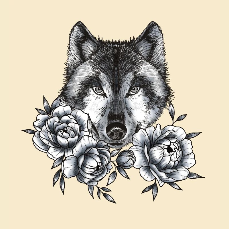 Wolf und Pfingstrosen
