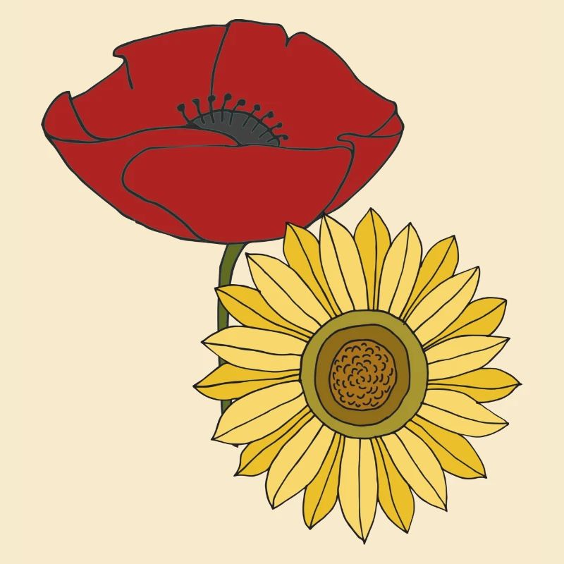 mohn sonnenblume