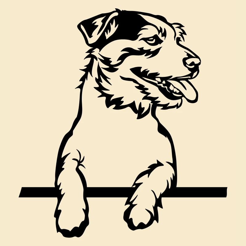 Jack Russell Terrier