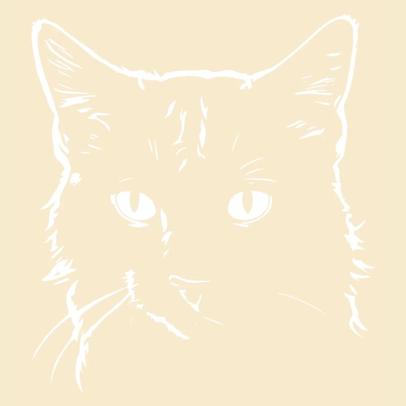 Katze 4