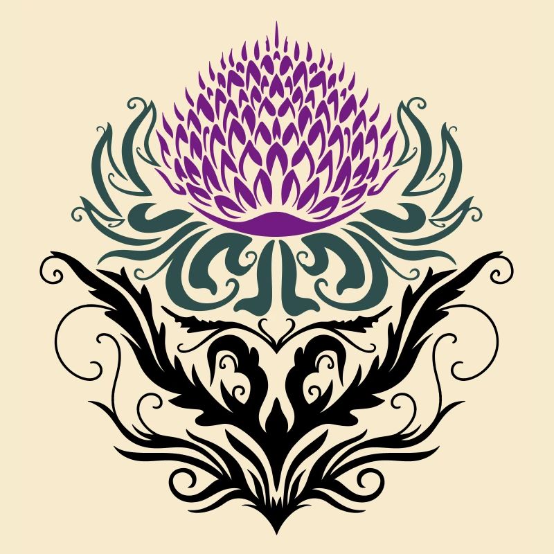 Distel lila Thistle