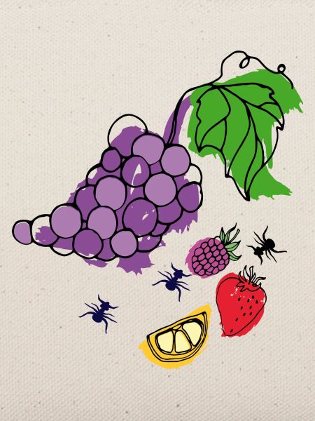 Obst mit Insekten