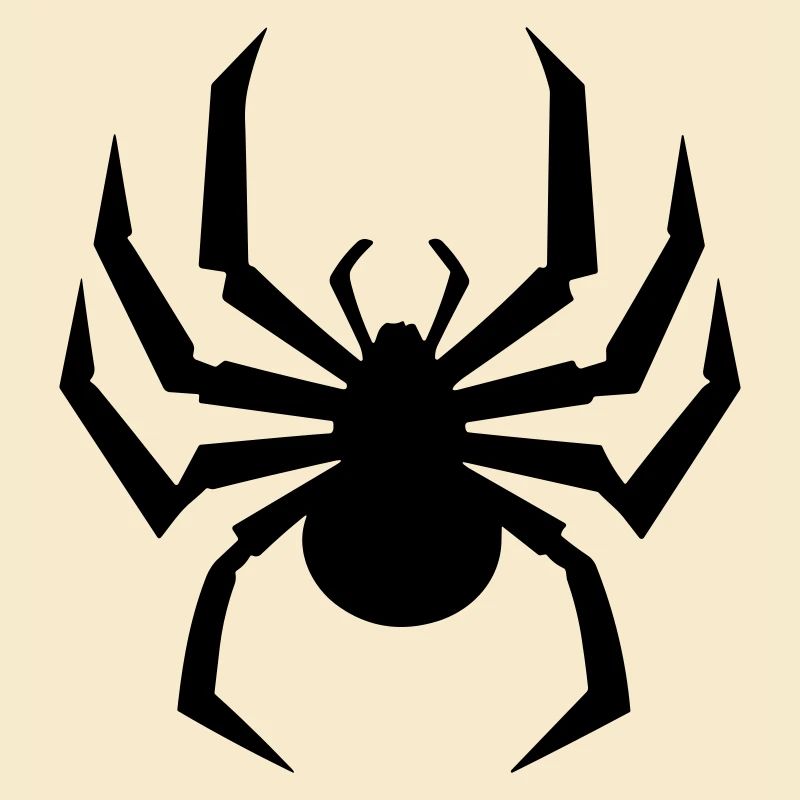 Spinne