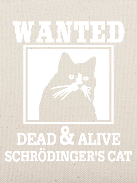 Schrödingers Katze gesucht, Nerdiges Quantenphysik