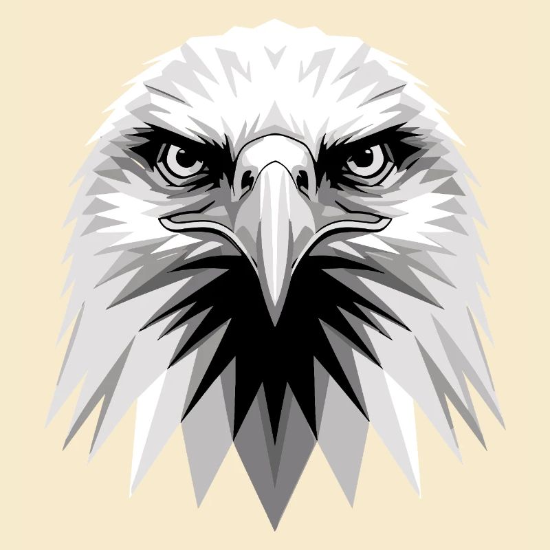 Eagle Bald Eagle Golden Eagle White-tailed Eagle