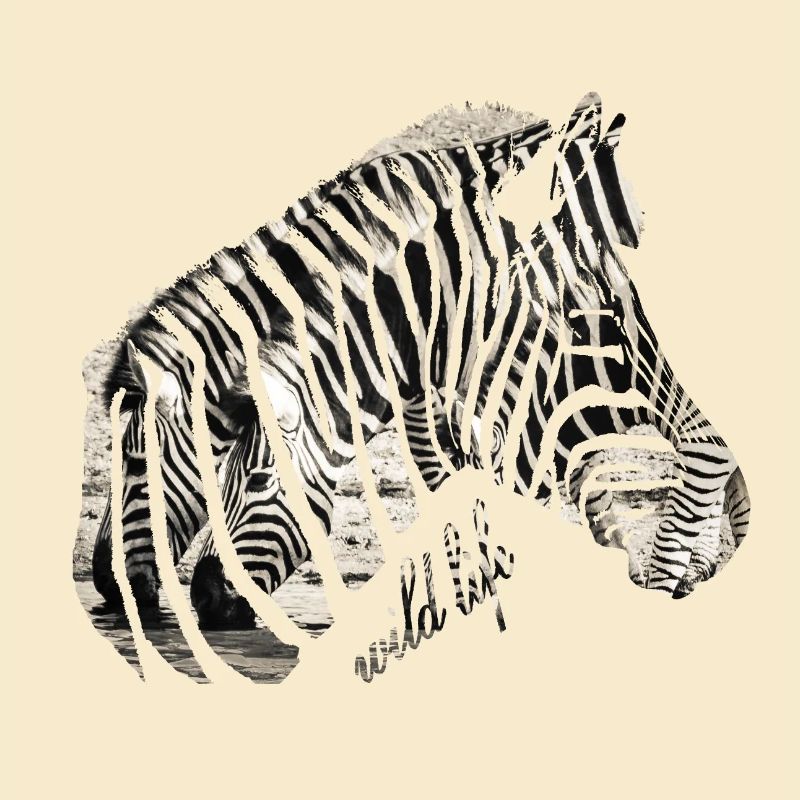 Zebra Herde Wildlife