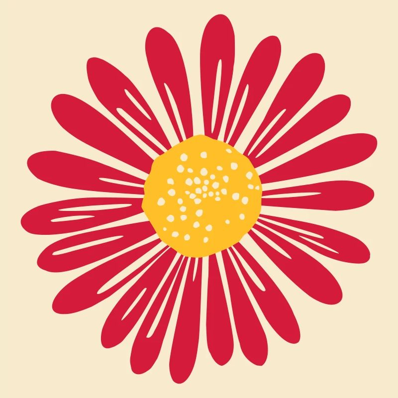 Gänseblume