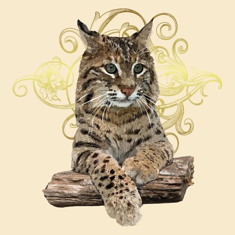 Luchs