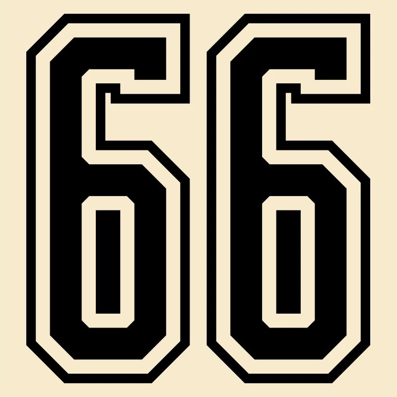 66 Numéro de numéro