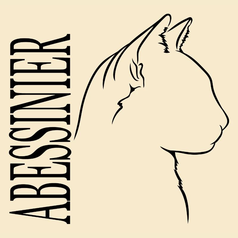 Abessinier Profil Katzen Katze Wilsigns