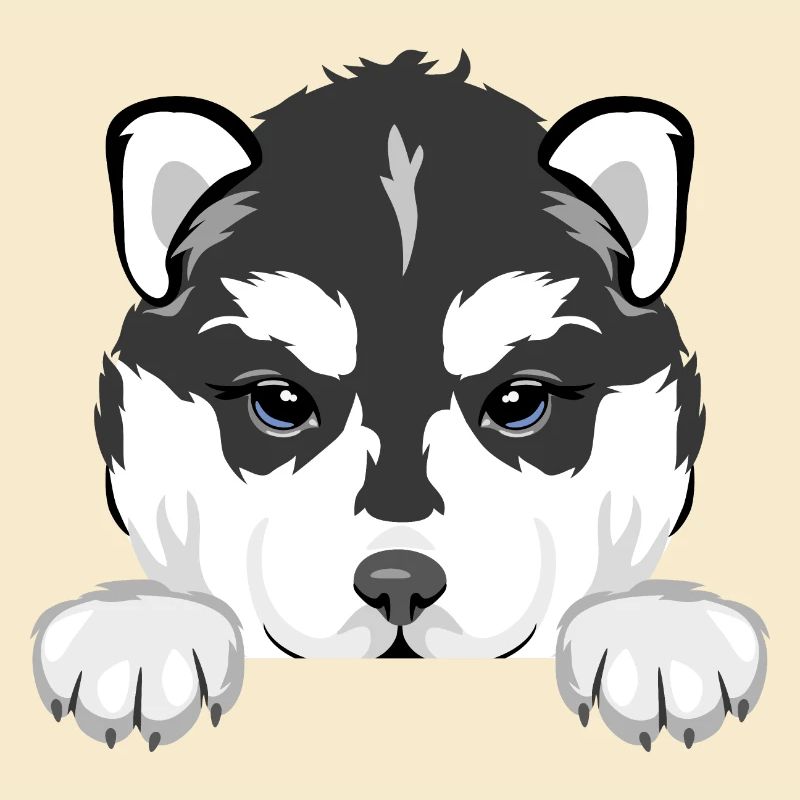 Spähender Husky-Welpe