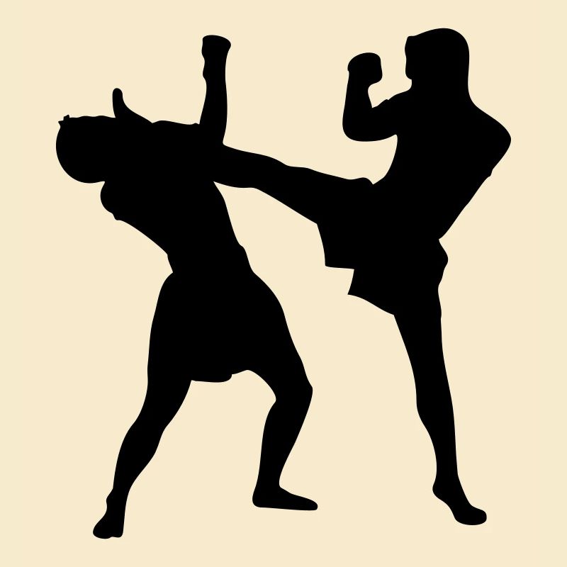 Thaiboxen