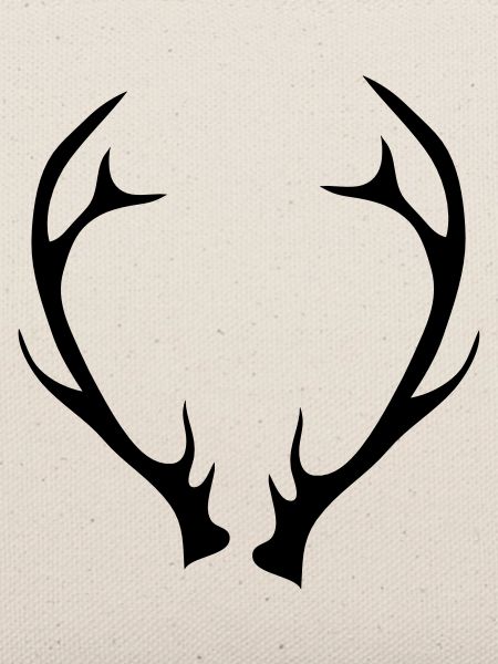 An antler
