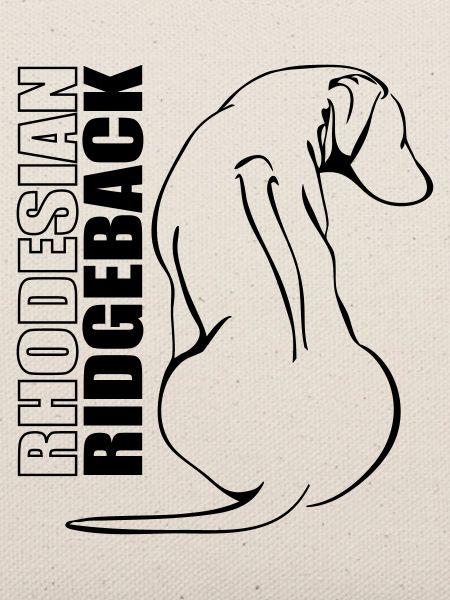 RHODESIAN RIDGEBACK PROFIL Wilsigns