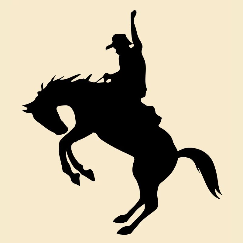 Rodeo de