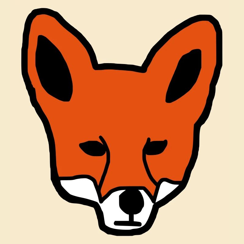 Fuchs Geschenk Geschenkidee