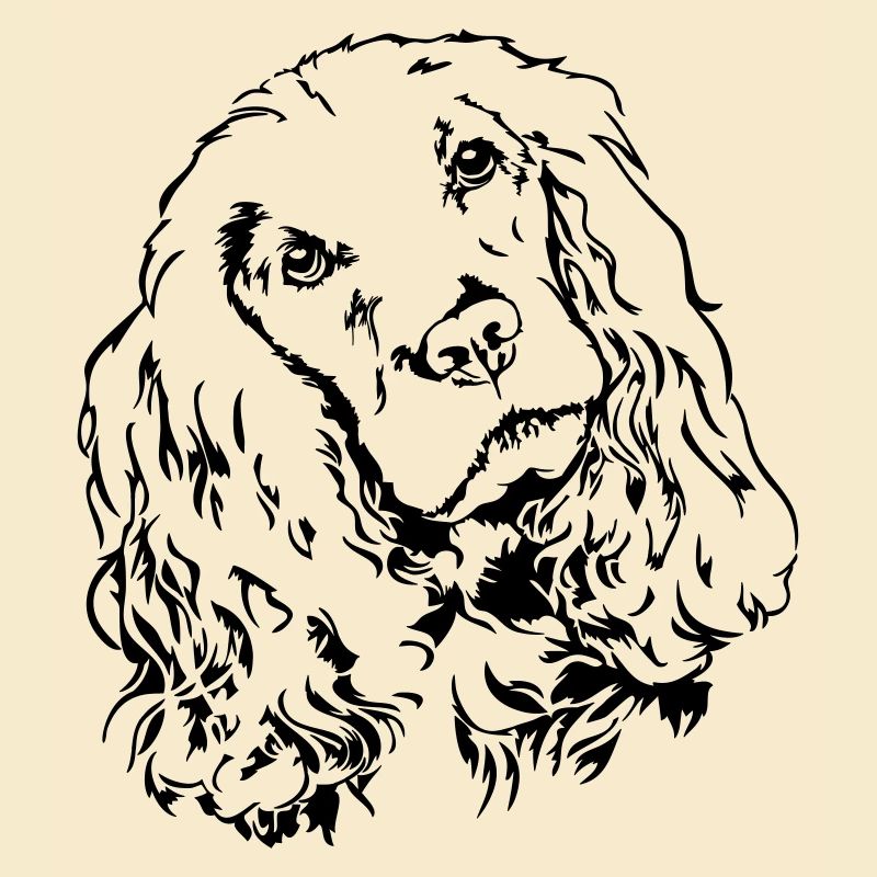 COCKER SPANIEL Portrait Wilsigns