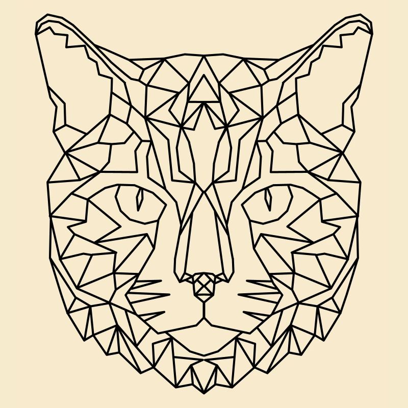Cat Geometric