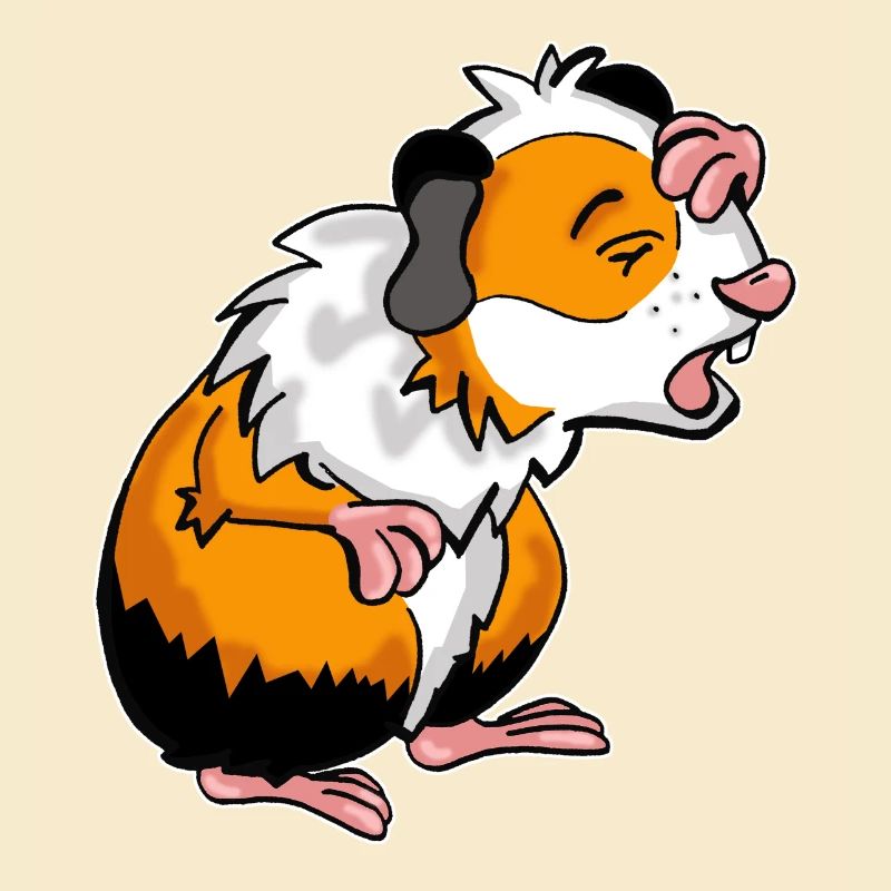 Bande dessinée de cochon d'Inde