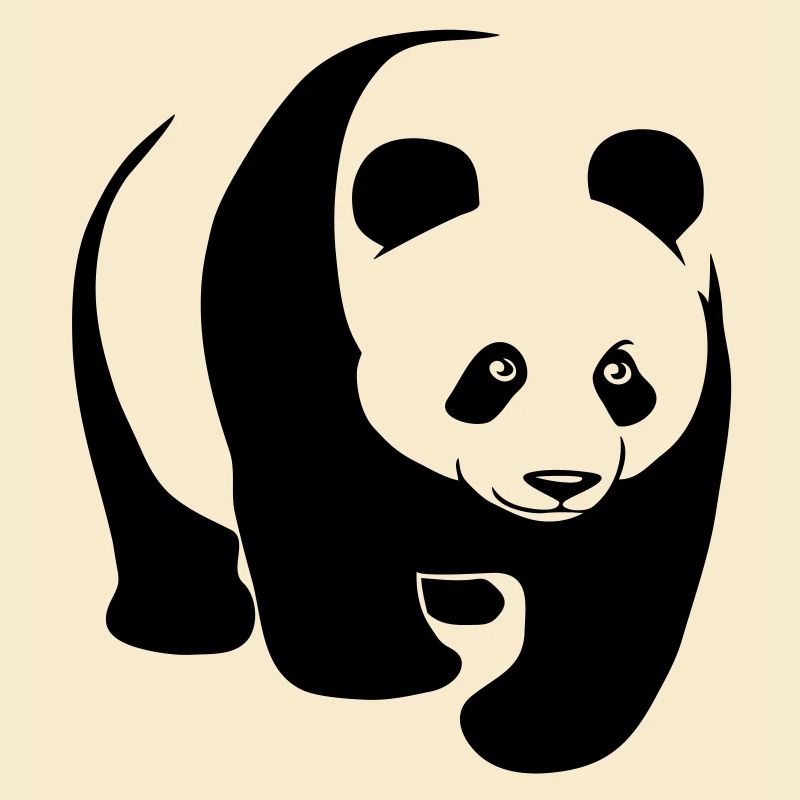 panda bär bear