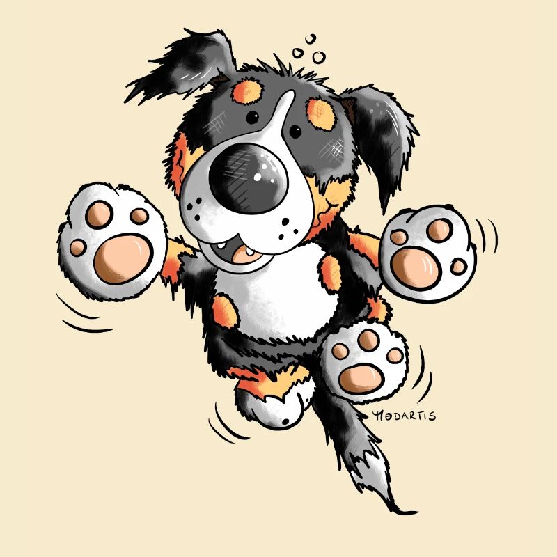 Brain der Berner Sennenhund