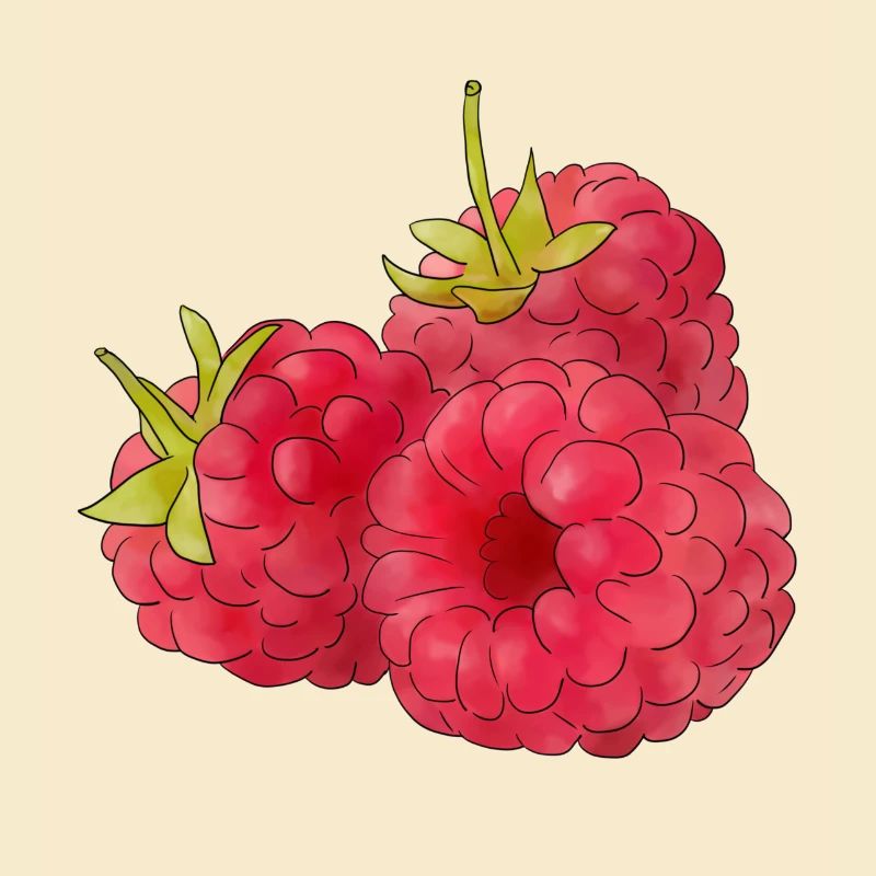 Himbeeren