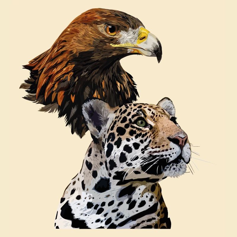 Golden Eagle and Jaguar