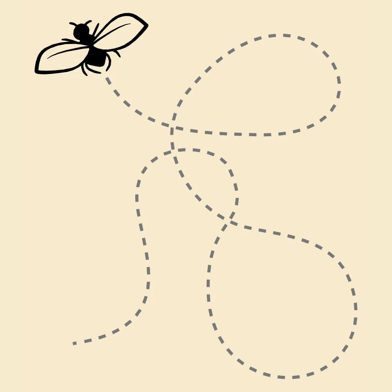 Fly Dashed Line