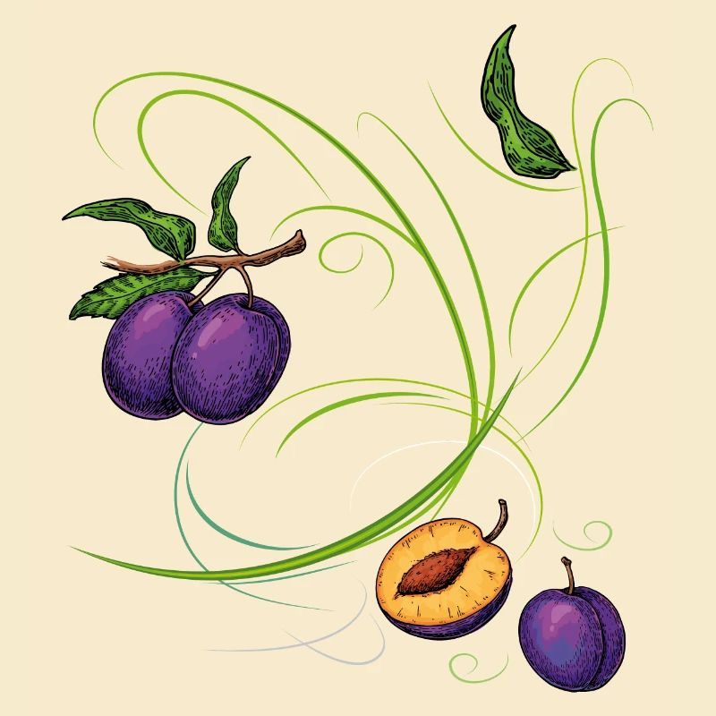 Pflaumen, Obst