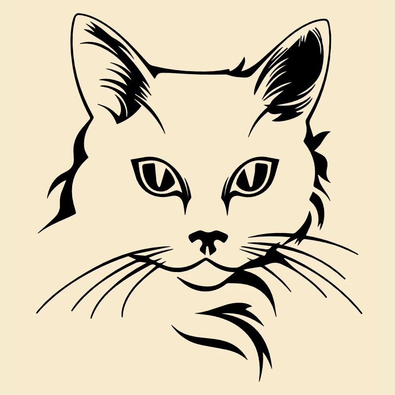 Katze