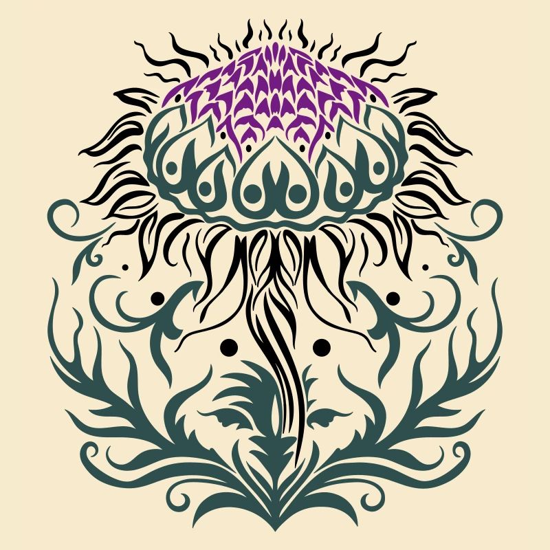 Distel lila Thistle