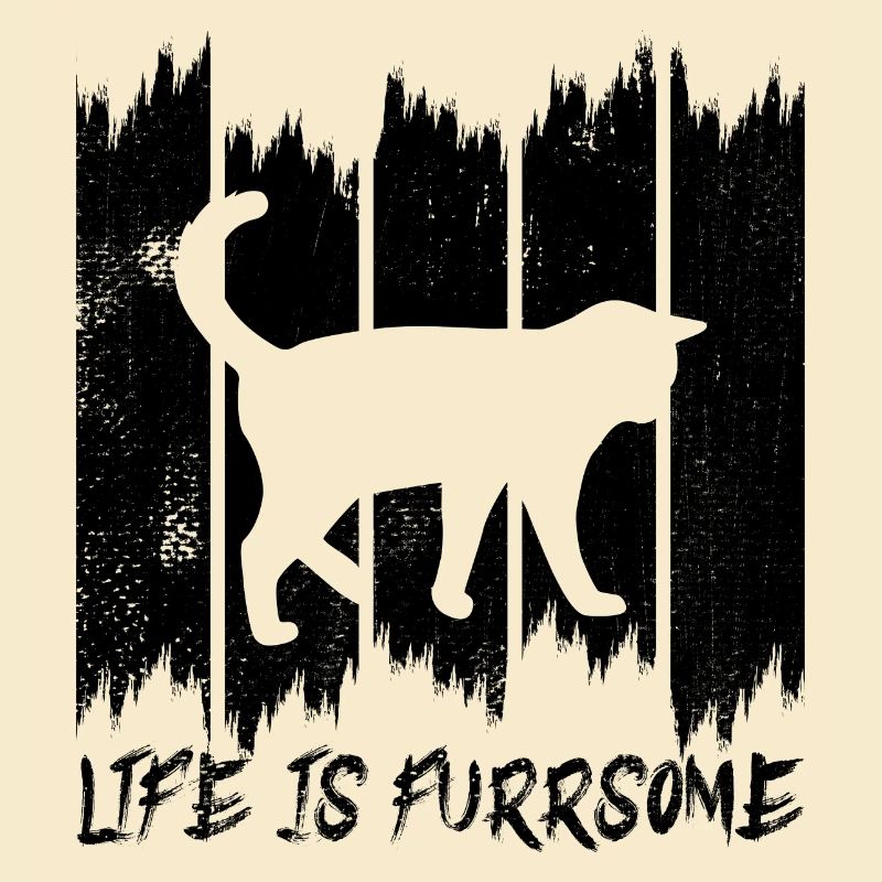 Lustiger Katzenspruch