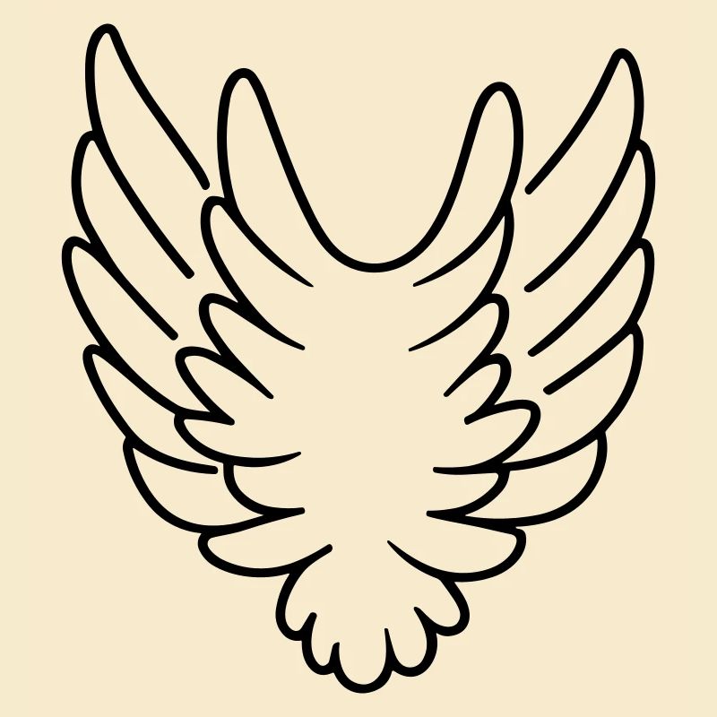 Ailes d'ange