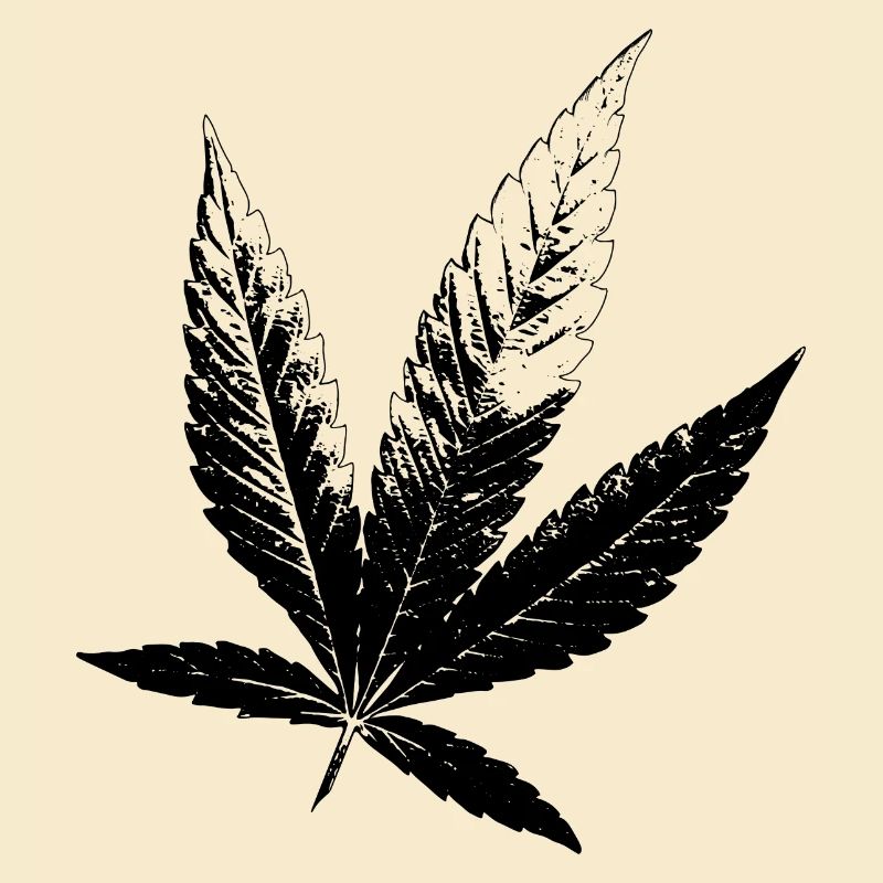 Cannabis Hanf Blatt