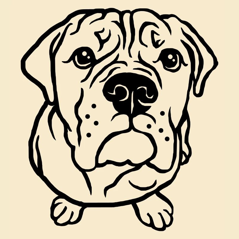 Bulldog bettelnd