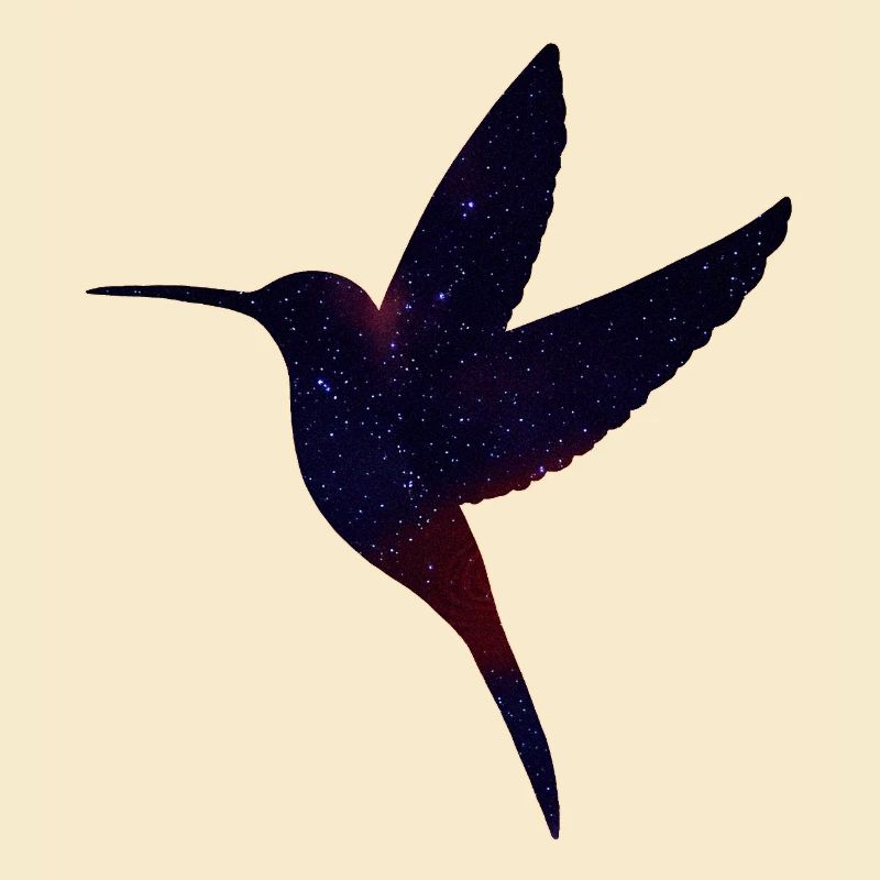 Kolibri mit Sternenhimmel