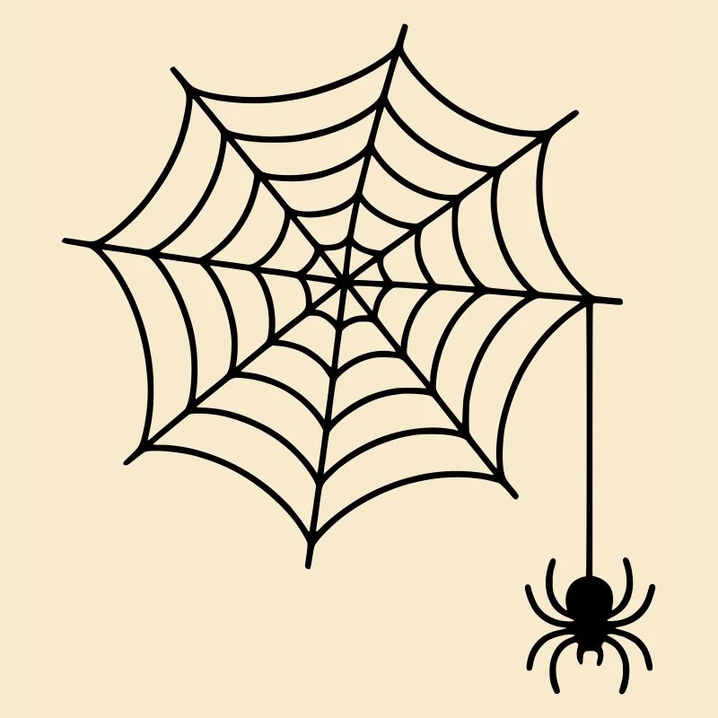Spinnennetz mit Spinne Silhouette